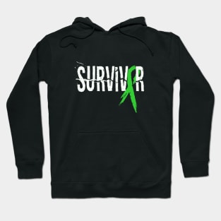 TBI Survivor Ribbon Shirt Hoodie